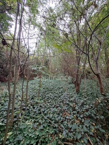 TERRAIN A BÂTIR, 811 m², rue des Côteaux à Ormesson-sur-Marne