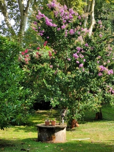House for sale 3 rooms LABASTIDE D'ARMAGNAC (40)