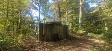 Bois à vendre, LAGRANGE (40)
