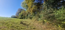Bois à vendre, LAGRANGE (40)