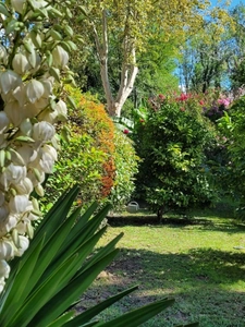 House for sale 3 rooms LABASTIDE D'ARMAGNAC (40)