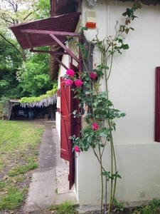 House for sale 3 rooms LABASTIDE D'ARMAGNAC (40)