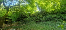 House for sale 3 rooms LABASTIDE D'ARMAGNAC (40)