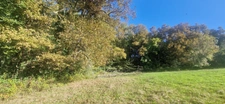 Bois à vendre, LAGRANGE (40)