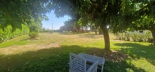 Gascon house T6 for sale 5 rooms Cazaubon/ Barbotan les Thermes (32)
