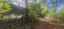 Bois à vendre, LAGRANGE (40)