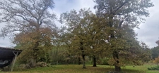 House for sale 5 rooms CREON D'ARMAGNAC (40)