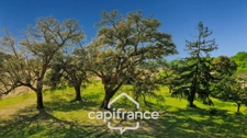 Landes-style house for sale, 4 rooms (40)