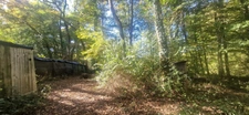 Bois à vendre, LAGRANGE (40)