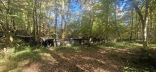 Bois à vendre, LAGRANGE (40)