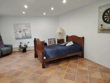 Maison en pierre à vendre 7 pièces ESTANG (32)