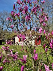 House for sale 3 rooms LABASTIDE D'ARMAGNAC (40)