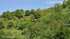 Nichée au cœur de la nature, sans vis-à-vis et avec une vue remarquable, grande maison de 7 (voir 8) chambres et de belles terrasses, offre un cadre de vie paisible et ressourçant.