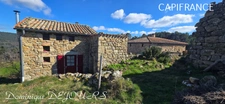 Ardèche, ensemble charmant de 2 maisons en pierres, avec terrasses, caves voutées et terrains attenants