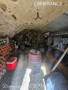 Ardèche, stone house in a preserved and quiet location - 137m² living space - garage - land