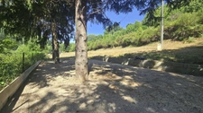 Vallée de la Glueyre, en pleine campagne et sans vis-à-vis ni voisinage, maison de plain-pied de 60m² sur terrain de 3000m² plat