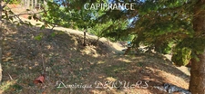 Maison en pierres avec deux logements, terrasse et terrain de 7 800 m² – Saint-Jean-Roure (07160)
