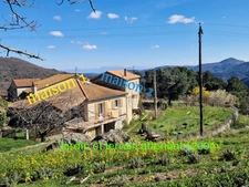 Tènement immobilier : 2 habitations et un ancien hangar agricole - 6200m² autour de la maison + bois de chênes 9700m² - source et un bassin