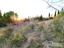Terrain à batir à Vendre - LIMOUX - 2347 m² - sur les hauteurs