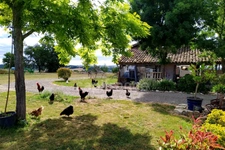 Domaine à vendre avec vue exceptionnelle à 360°, composé d'une bergerie réhabilitée, puis d'une grange et d'un kiosque à restaurer, sur 2,9 ha de terrain à LECTOURE (32)