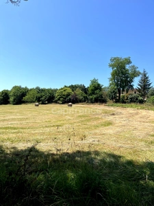 Jolie maison de campagne (320 m2, 9 pièces, 5 chambres) à vendre, sur terrain de 8500 m2, à dix minutes d'Auch (32)
