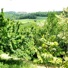 Maison de campagne avec 5 dépendances à restaurer à vendre, à proximité de Saint-Clar (32)