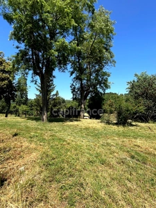 Jolie maison de campagne (320 m2, 9 pièces, 5 chambres) à vendre, sur terrain de 8500 m2, à dix minutes d'Auch (32)