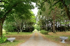 Propriete à vendre 15 pièces, 9 ha, proche de FLEURANCE (32)
