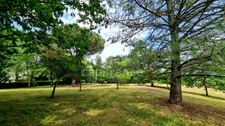 À vendre : Propriété à restaurer, à 10 mn d'Auvillar, d'environ 240 m2 habitables, sur terrain de 7400 m2  (82)