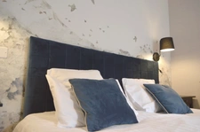 Dpt Hautes Pyrénées (65), à vendre proche de LUZ SAINT SAUVEUR Hôtel - Restaurant 