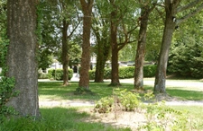 Dpt Hautes Pyrénées (65), à vendre LOURDES Ensemble immobilier collectif 