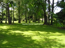 Elegant Character Home in an Exceptional Setting with enclosed landscaped garden 6600 m2 (27) Eure - Normandy