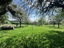 Character property with active B&B, 8500m² of land and outbuildings – for sale in Calvados, Normandy - CHAMP DU BOULT (14)