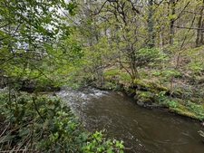 Riverside property with workshop in Vire (14) Calvados, Normandy