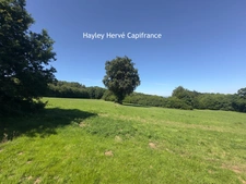 Propriété à vendre Proche Vire Calvados  (14) avec deux maisons d'habitation sur un terrain de 9 Hectares - Propriété équestre / gite