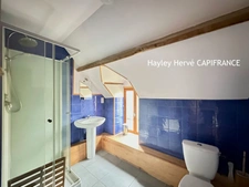 Ancien moulin de caractère à vendre avec maison d’amis, appartement et 2 ha - 15 pièces PERCY EN NORMANDIE (50) 