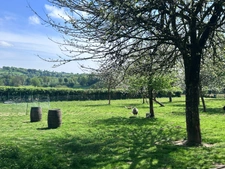 Character property with active B&B, 8500m² of land and outbuildings – for sale in Calvados, Normandy - CHAMP DU BOULT (14)