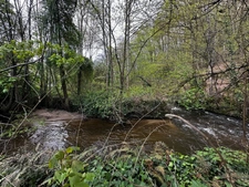 Riverside property with workshop in Vire (14) Calvados, Normandy