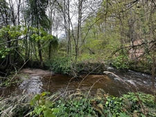 Riverside property with workshop in Vire (14) Calvados, Normandy