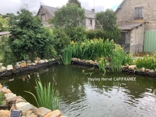 Propriété À VENDRE avec maison et gîte indépendant, dépendances et terrain de 5 000 m² – Mortain LE NEUFBOURG (50) - Mortain
