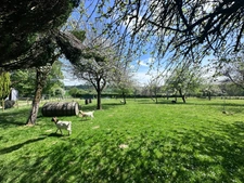Character property with active B&B, 8500m² of land and outbuildings – for sale in Calvados, Normandy - CHAMP DU BOULT (14)