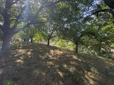 Maison 6 pièces avec terrain de 4 700 m² – Bord de rivière, belle vue sur la campagne – Bretteville-sur-Laize (14)