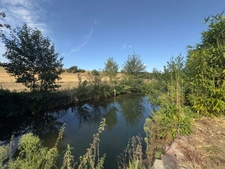 Maison 6 pièces avec terrain de 4 700 m² – Bord de rivière, belle vue sur la campagne – Bretteville-sur-Laize (14)