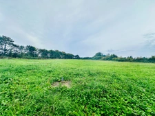 Beautiful 19th Century Maison de Maître for sale with Outbuildings and 1.5 hectares close to the sea and BAYEUX (14) Calvados, Normandy