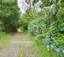 Propriété à vendre Proche Vire Calvados  (14) avec deux maisons d'habitation sur un terrain de 9 Hectares - Propriété équestre / gite