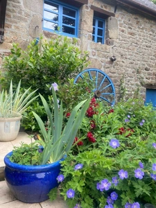 Stone character property with outbuildings, garden and apple orchard on just under 1 acre of land - Orne - Normandy