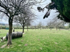 Character property with active B&B, 8500m² of land and outbuildings – for sale in Calvados, Normandy - CHAMP DU BOULT (14)