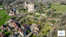 Murs et fonds : gite, chambres d'hôtes et table d'hôtes à vendre CHAUDENAY LE CHATEAU (21)