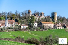 Murs et fonds : gite, chambres d'hôtes et table d'hôtes à vendre CHAUDENAY LE CHATEAU (21)