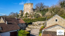 Murs et fonds : gite, chambres d'hôtes et table d'hôtes à vendre CHAUDENAY LE CHATEAU (21)